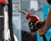 ASX Plunges as Oil Price Spike Sparks Global Inflation Fears