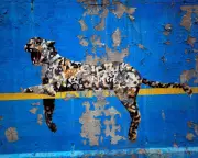 Banksy and Ferrante: The Ethics of Unmasking Anonymous Artists