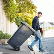 Bin Man's Viral Tip: Simple Wheelie Bin Mistake Attracts Maggots and Foxes