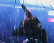 Bouchra Review: Prada-Wearing Coyote Maps Queer Experience in Debut Film