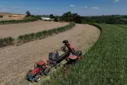 Brazil's Ethanol Fleet Shields Gas Prices from Iran War Oil Shock
