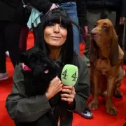 Bruin the Clumber Spaniel Wins Best In Show at Crufts 2026 with Claudia Winkleman Presenting