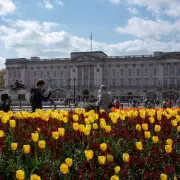 Buckingham Palace Seeks Live-In Kitchen Porter for Royal Household Role