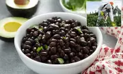 California Bean Recall Over Pesticide Residue in Organic Products