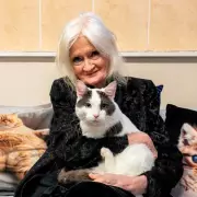 Celia Hammond: From Swinging Sixties Model to Lifelong Animal Rescue Champion