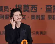 Chalamet's Ballet and Opera Remarks Spark Cultural Backlash and Humorous Retorts