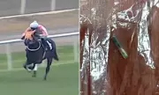 Champion Racehorse Served at Turkish Soup Kitchen Sparks Outrage