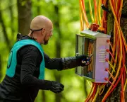 Channel 4's The Hunt: A Guilty Pleasure Game of Hide and Seek in the Forest