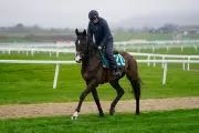 Cheltenham Festival 2026 Day Two: Expert Tips and Key Contenders for Ladies Day