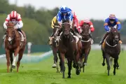 Cheltenham Festival 2026: Expert Reveals 377,909/1 Accumulator Betting Tips