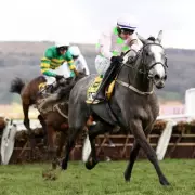 Cheltenham Festival 2026: Full Guide to Odds, Runners, and Expert Tips