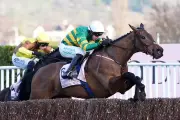 Cheltenham Festival 2026 Kicks Off with Champion Day's Seven Races