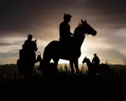 Cheltenham Festival 2026 Kicks Off with High Stakes and Renewed British Hopes