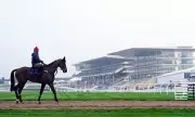 Cheltenham Festival 2026 Preview: Expert Tips and Race Analysis