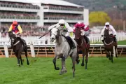 Cheltenham Festival Day 2: Majborough Aims for Champion Chase Victory on Ladies Day