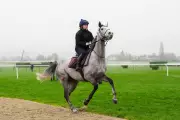Cheltenham Festival Day One: Expert Tips and Betting Guide for All Races