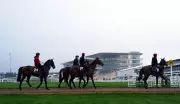 Cheltenham Festival Day One: The New Lion's Champion Hurdle Betting Edge