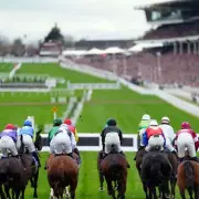Cheltenham Festival Day Two: Champion Chase Headlines Amid Brawl Fallout