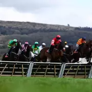 Cheltenham Festival Jockey Clash: Amateur Rider Alleges Abuse in TV Outburst