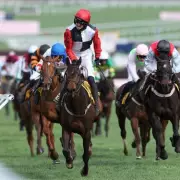 Cheltenham Festival Jockeys Suspended After 50/1 Winner Investigation