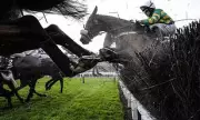 Cheltenham Festival Ladies Day Live: Majborough's Jockey Confident for Champion Chase