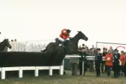 Cheltenham Festival Legends: Dawn Run and Jonjo O'Neill's Historic Partnership