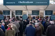 Cheltenham Festival Opening Day Disrupted by Train Trespass Incident