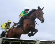Cheltenham Festival Sees Record Turnout Amid Betting Surge