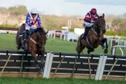 Cheltenham Festival Tragedy: Horse Hansard Dies After Fatal Injury in Arkle Race