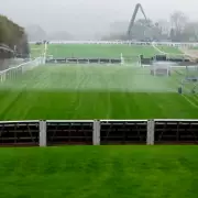 Cheltenham Festival Tragedy: Horse Hansard Dies on Opening Day