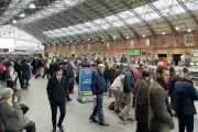 Cheltenham Festival Travel Chaos as Trespass Incident Sparks Major Rail Delays