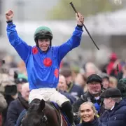 Cheltenham Punter Stuns Bookies with £40 to £60,000 Windfall