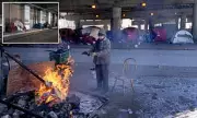 Chicago's 'Whack-a-Mole' Homeless Crisis: Tent City Torn Down in Freezing Temperatures