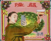 Chinamaxxing Wellness: America's TikTok Obsession with Traditional Chinese Medicine