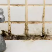 Cleaning Hack: Use Old Electric Toothbrush for Tile Grout Mould