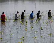 Climate Aid Cuts Threaten Global South with Devastating Consequences