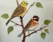 Clive Byers: A Tribute to Britain's Renowned Bird Artist and Avid Twitcher