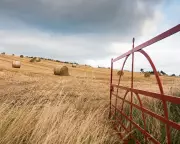 Coded Weather Forecasts: How WWII Britain Kept Secrets from the Luftwaffe