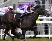 Computer Glitch Scratches O'Brien's Top Horses from 2,000 Guineas