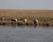 Conservation Leaders Reject Calls to Weaken Environmental Protections