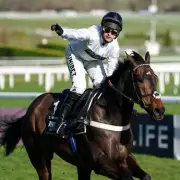 Constitution Hill Absent from Champion Hurdle: Retirement and Flat Racing Future