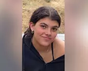 Coroner Rules Dingo Attack Caused Piper James's Death on K'gari Island