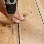 Couple Discovers Deceased Dog's Paw Prints in Floorboards, Vows to Preserve Them