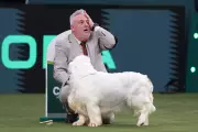 Crufts Winner Faces Calls to Lose Title After Past Animal Cruelty Conviction
