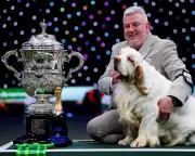 Crufts Winner's Animal Cruelty Conviction Sparks Outcry and Calls for Reform