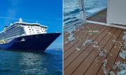 Cruise Passenger Died After Suboptimal Treatment Following Storm Fall, Investigation Finds