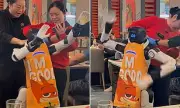 Dancing Robot Goes Berserk at Hotpot Restaurant, Sending Food Flying in Chaotic Scene