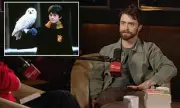 Daniel Radcliffe Advocates for Mandatory Therapy for All Child Actors