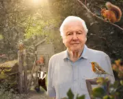 David Attenborough's Secret Garden Sparks Debate Over Cats and Wildlife