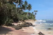 Discover Madiha: Sri Lanka's Hidden Beach Gem for a Crowd-Free Escape